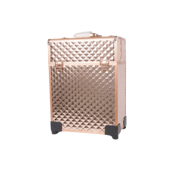 Make up Trolley Case Bag - HoodMarket