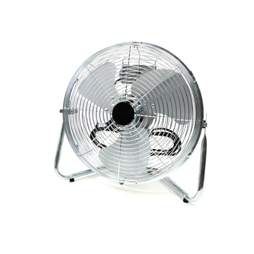Fans