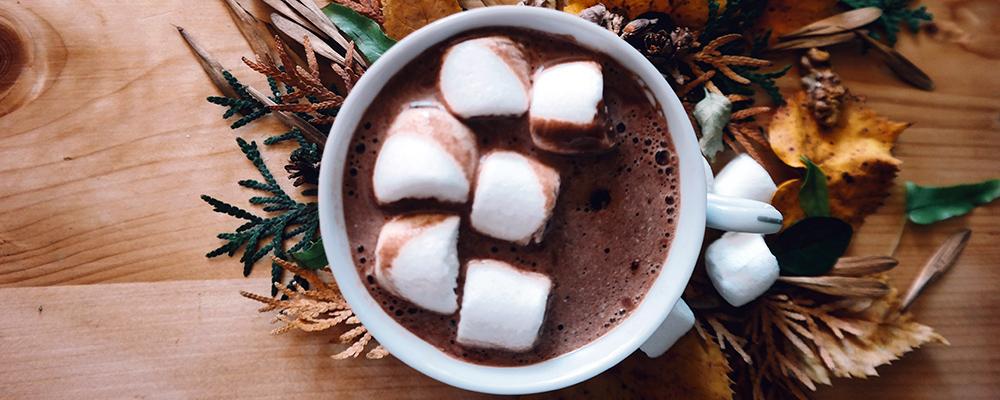 Hot Chocolate & Malt Drinks