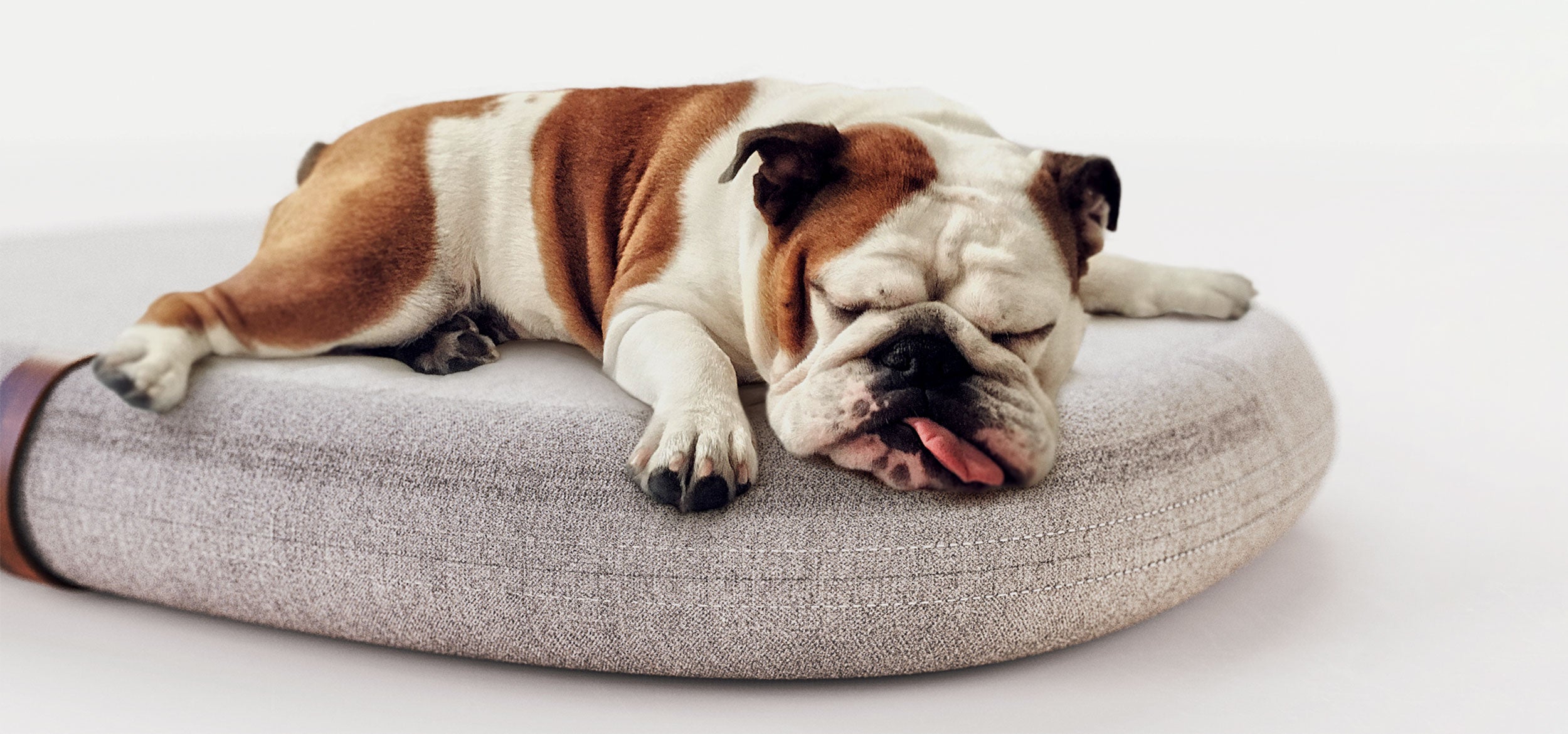 Pets Beddings & Comfort