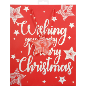 Christmas Themed Large Printed Gift Bag