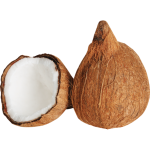 Coconuts Single