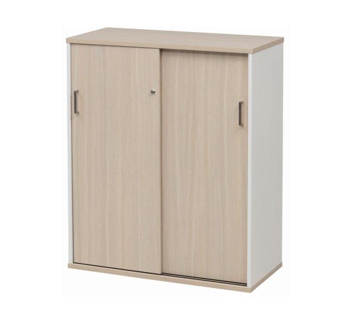 Elite Platinum Sliding Door Cabinet