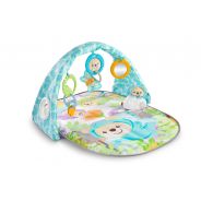 Fisher Price Fisher-Price Butterfly Dreams Musical Playtime Gym