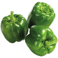 Green Pepper Pre Pack - Hoodmarket