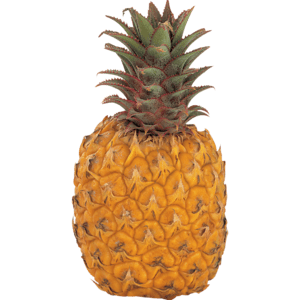 Large Queen Pineapple - myhoodmarket