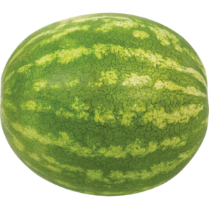 Medium Watermelon