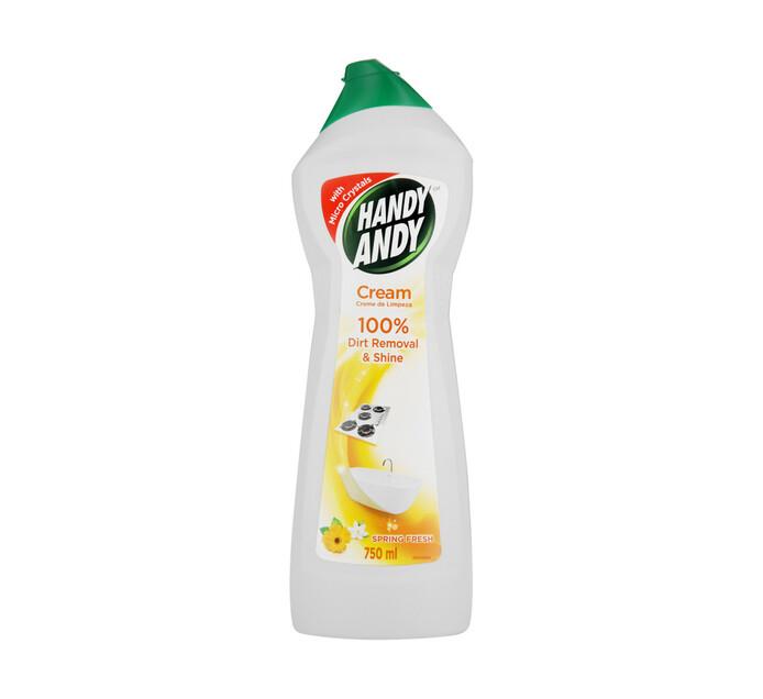 HANDY ANDY Cream Regular (5 x 500ML) - myhoodmarket