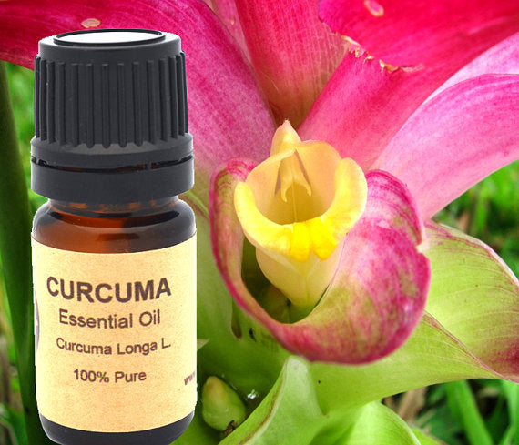 Turmeric Curcuma Essential Oil 10ml or 15 ml