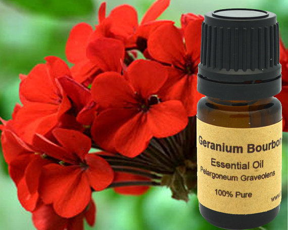 Geranium Bourbon Essential 15ml