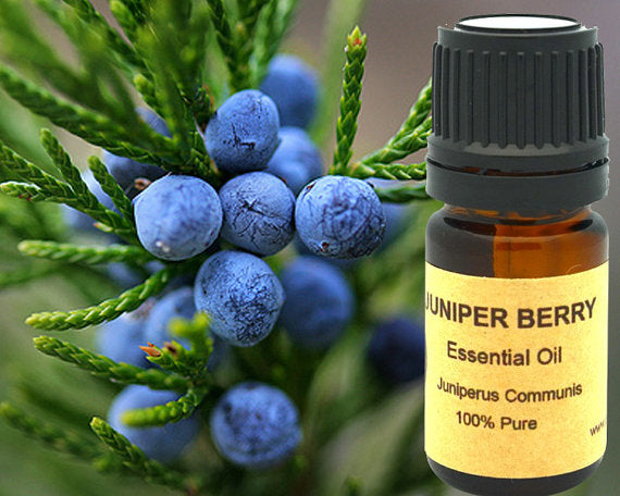 Juniper Berry Essential Oil 15ml