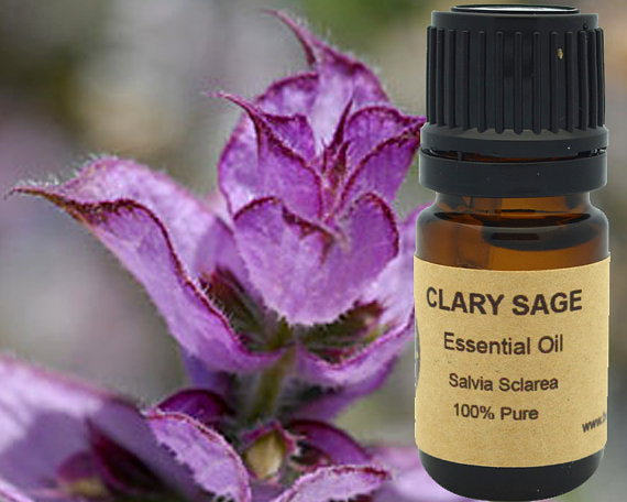 Clary Sage Essential Oil 15 ml
