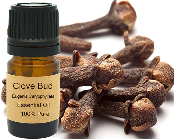 Clove Bud Essential Oil  15ml